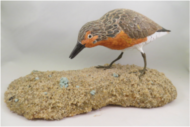 Red Knot Carving