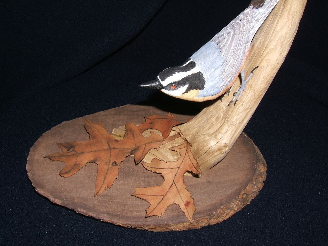 Red-breasted Nuthatch Carving